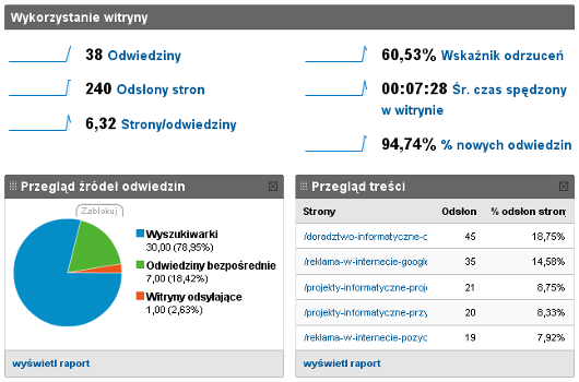 statystyki strony w Google Analytics